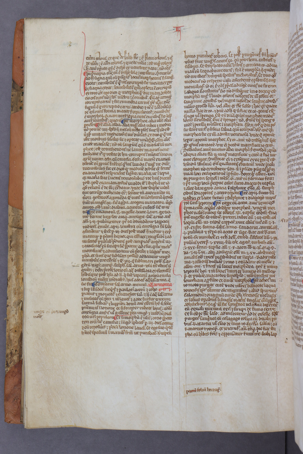 Folio 79 verso